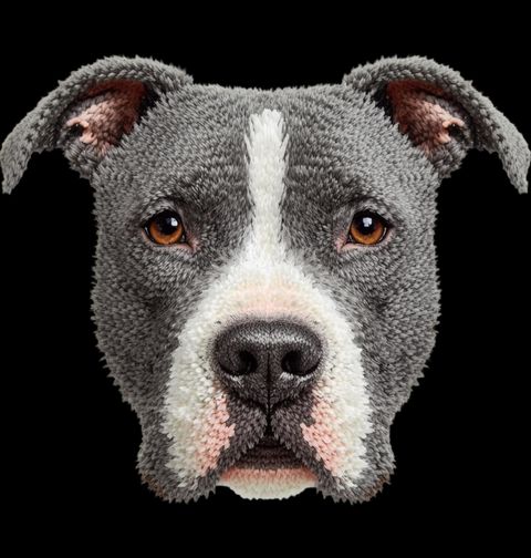 Obrázek produktu Pánské tričko Háčkovaný Americký pitbulteriér