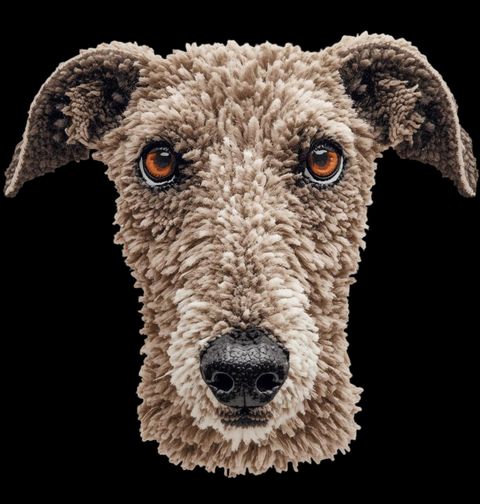 Obrázek produktu Dámské tričko Háčkovaný Irský vlkodav