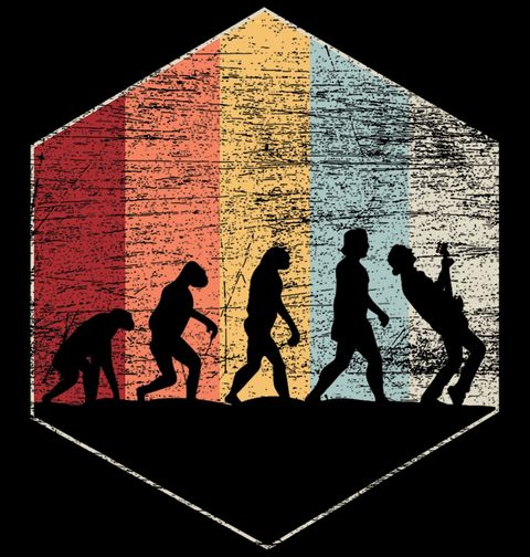 Obrázek produktu Pánské tričko Retro Evoluce Kytaristy