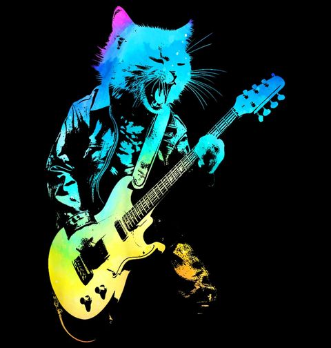 Obrázek produktu Pánské tričko Neonová Kočka na Pódiu