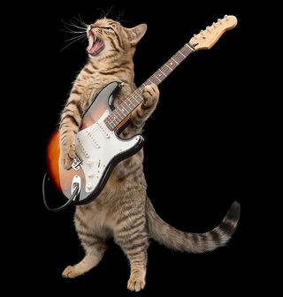 Obrázek 2 produktu Dámské tričko Mourovatá Kočka s Elektrickou Kytarou