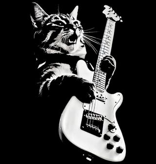 Obrázek 2 produktu Dámské tričko Kočka s Kytarou