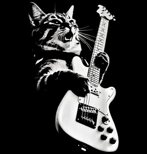 Obrázek produktu Dětské tričko Kočka s Kytarou