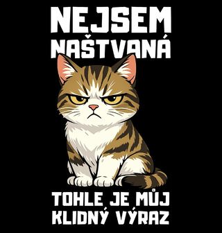 Obrázek 2 produktu Dámské tričko Kočka Nejsem naštvaná, tohle je můj klidný výraz