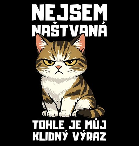 Obrázek produktu Pánské tričko Kočka Nejsem naštvaná, tohle je můj klidný výraz