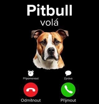 Obrázek 2 produktu Pánské tričko Pitbull volá Phone Call
