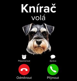 Obrázek 2 produktu Pánská mikina Knírač volá Phone Call