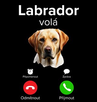 Obrázek 2 produktu Pánské tričko Labrador volá Phone Call