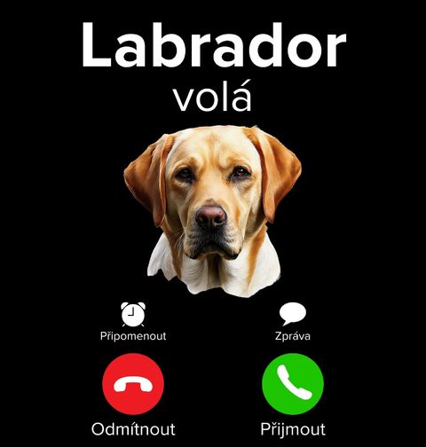 Obrázek produktu Dámské tričko Labrador volá Phone Call