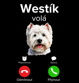Obrázek 2 produktu Pánské tričko Westík volá Phone Call