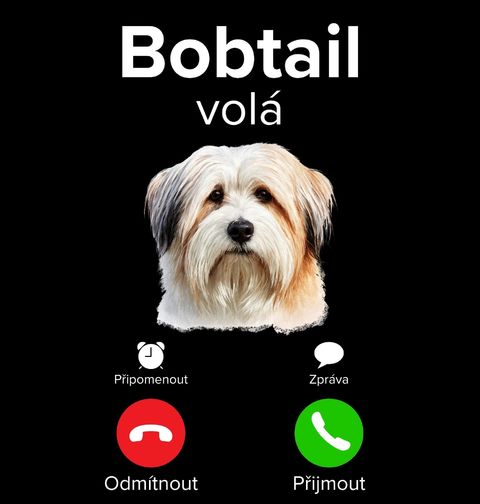 Obrázek produktu Pánské tričko Bobtail volá Phone Call