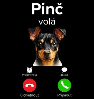 Obrázek 2 produktu Pánská mikina Pinč volá Phone Call