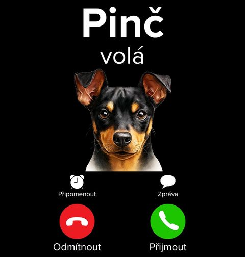 Obrázek produktu Pánské tričko Pinč volá Phone Call