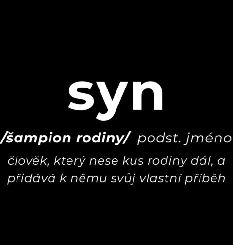 Obrázek produktu Pánské tričko Definice Syn: Šampion rodiny