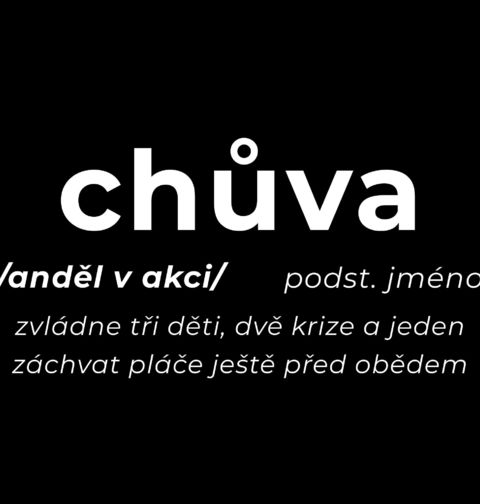 Obrázek produktu Dámské tričko Definice Chůva: Anděl v akci