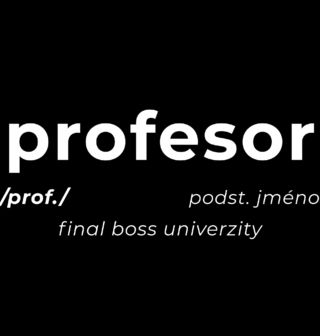 Obrázek 2 produktu Dámské tričko Definice Profesor: Prof.