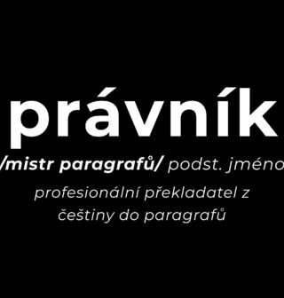 Obrázek 2 produktu Dámské tričko Definice Právník: Mistr paragrafů