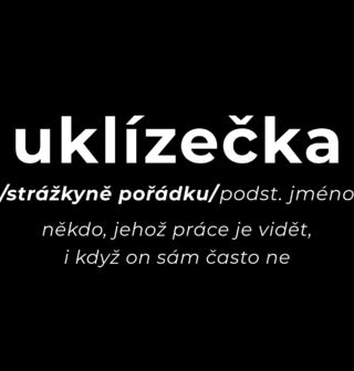 Obrázek 2 produktu Dámské tričko Definice Uklízečka: Strážkyně pořádku