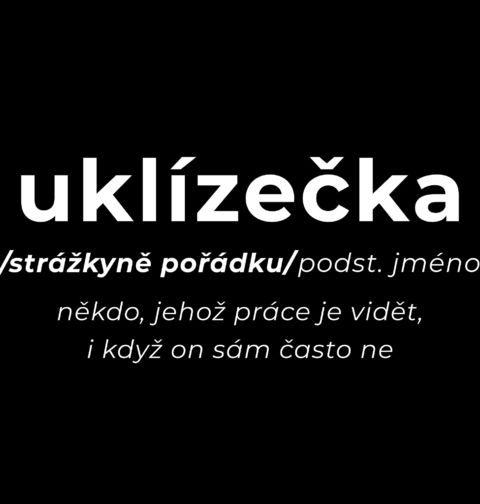 Obrázek produktu Dámské tričko Definice Uklízečka: Strážkyně pořádku