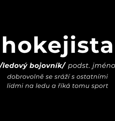 Obrázek produktu Pánské tričko Definice Hokejista: Ledový bojovník