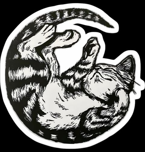 Obrázek produktu Dětské tričko Kočka v Klubíčku