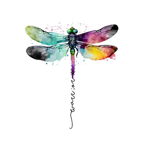 Obrázek produktu Pánské tričko Vážka Bojovník Warrior