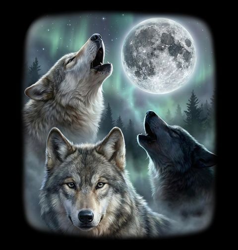 Obrázek produktu Dámské tričko Volání Vlků pod Měsícem