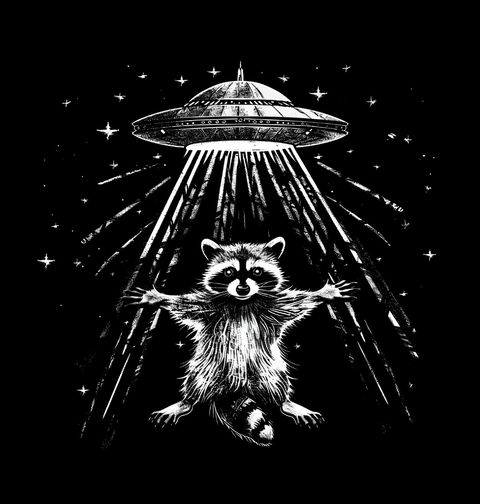 Obrázek produktu Pánské tričko Mýval v Zajetí Mimozemšťanů UFO