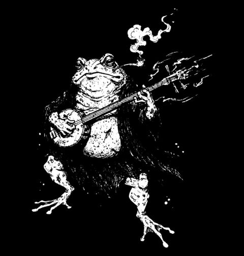 Obrázek produktu Pánské tričko Lesní Žába a Banjo