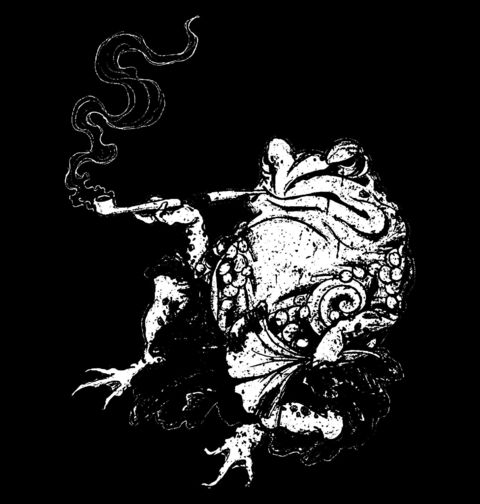 Obrázek produktu Dámské tričko Pohodová Žába s Dýmkou