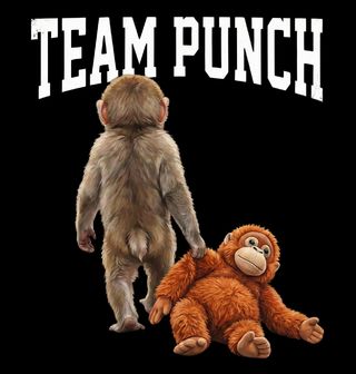 Obrázek 2 produktu Dámské tričko Makak Punch s Plyšákem Team Punch