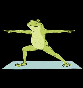 Obrázek 2 produktu Pánská mikina Žába v Jógové Pozici Bojovník II