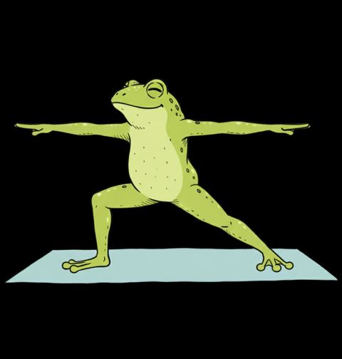 Obrázek produktu Pánská mikina Žába v Jógové Pozici Bojovník II