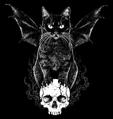 Obrázek produktu Dámské tričko Gotická Kočka na Lebce