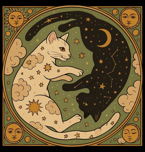 Obrázek produktu Dětské tričko Jin a Jang Černá a Bílá Kočka