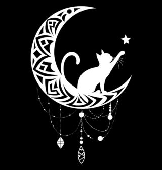 Obrázek 2 produktu Pánská mikina Kočka na Srpku Měsíce