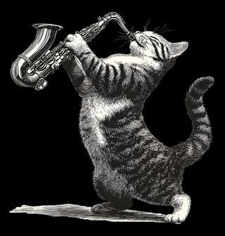 Obrázek 1 produktu Dětské tričko Jazzová Kočka se Saxofonem