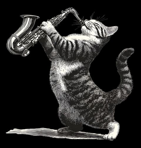Obrázek produktu Dětské tričko Jazzová Kočka se Saxofonem