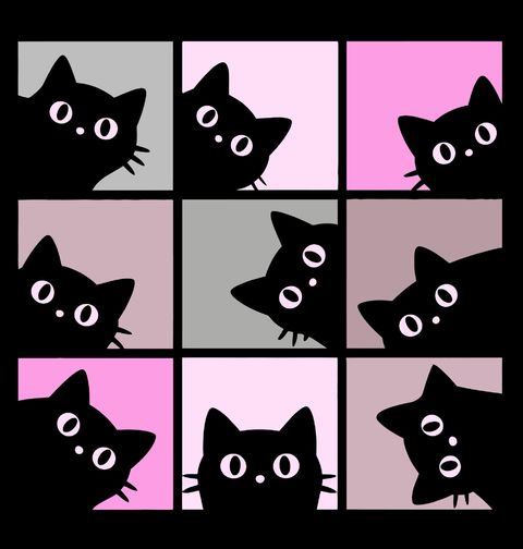 Obrázek produktu Pánská mikina Zvědavá Koťata