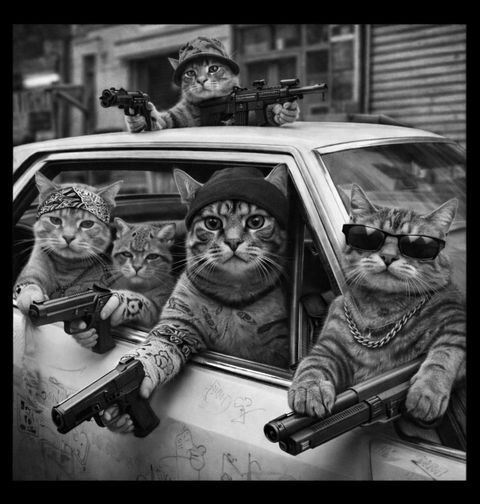 Obrázek produktu Pánské tričko Kočičí Gangsteři