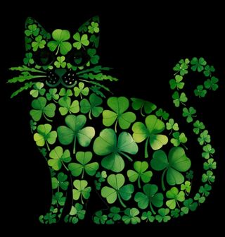 Obrázek 2 produktu Dětské tričko Kočka pro Štěstí