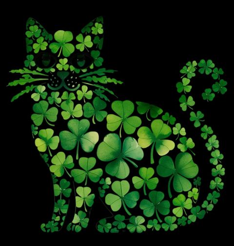 Obrázek produktu Pánské tričko Kočka pro Štěstí