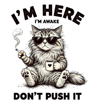 Obrázek 2 produktu Pánské tričko Kočka: Jsem vzhůru, tak na mě netlač