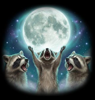 Obrázek 2 produktu Dětské tričko Mývalové vyjící na Měsíc