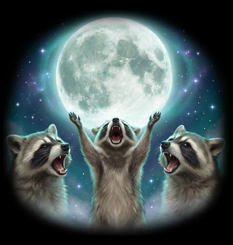 Obrázek produktu Dětské tričko Mývalové vyjící na Měsíc