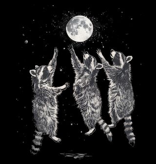 Obrázek 2 produktu Dámské tričko Mývalové dotýkající se Měsíce