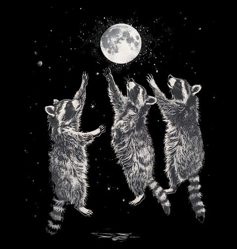 Obrázek produktu Dámské tričko Mývalové dotýkající se Měsíce