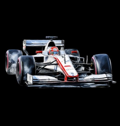 Obrázek produktu Pánské tričko Sportovní Formule