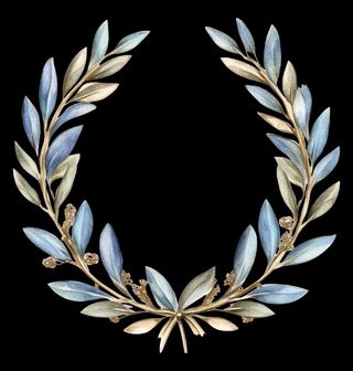 Obrázek 2 produktu Dětské tričko Vavřínový Věnec