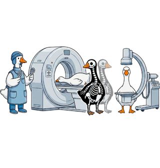 Obrázek 2 produktu Dámské tričko Husa na Rentgenu